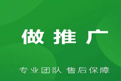 谷歌SEM案例研究：数据分析与效果评估