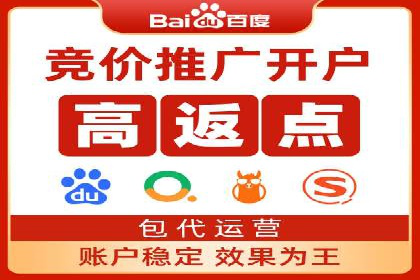 网络推广与竞价优化成功案例