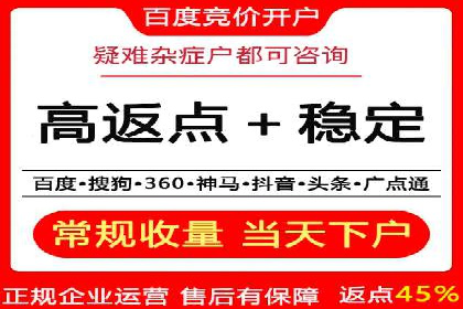 百度广告推广在旅游行业的成功案例